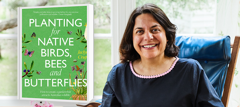 Jaclyn Crupi, 'Plandting for Native Birds, Bees and Butterflies'