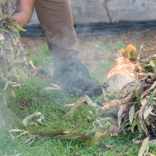 Celebrate Wurundjeri culture