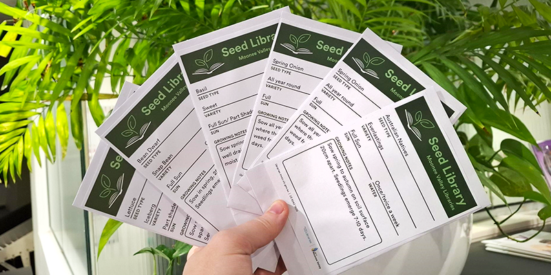 Seed saving workshop