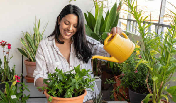 Gardening for small spaces