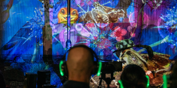 Moonee Valley after dark: projection tours